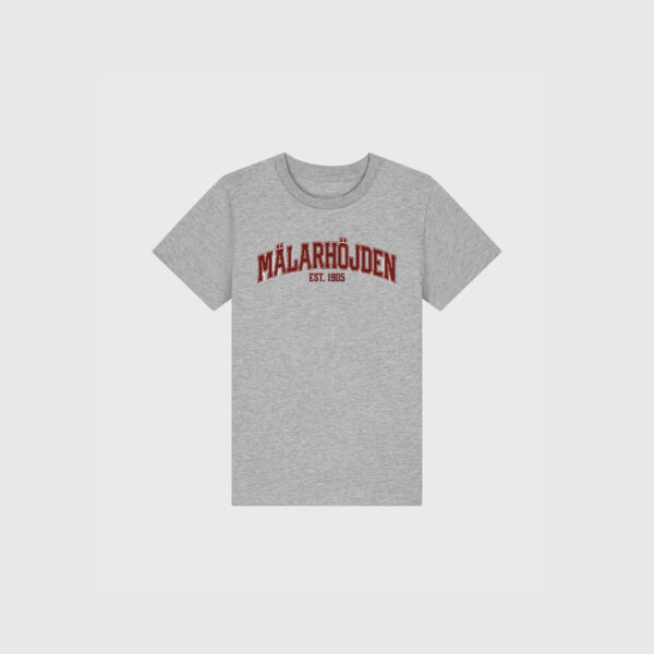 Mälarhöjden grå t-shirt junior text